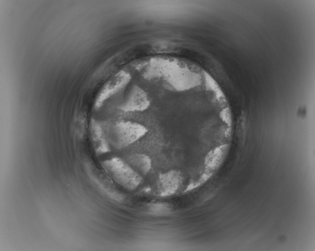 X0000113860741200910151236
