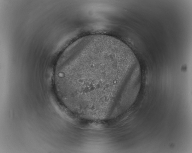 X0000113860742200910151236