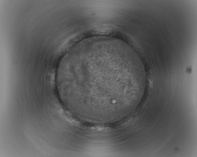X0000113860745200910151236