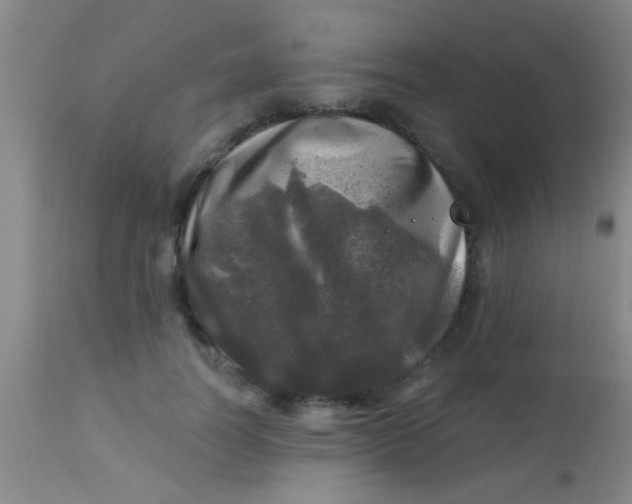 X0000113860746200910151236