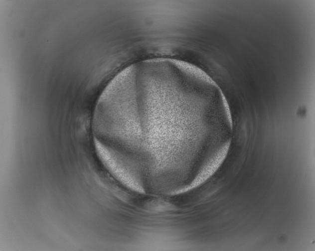 X0000113860747200910151236