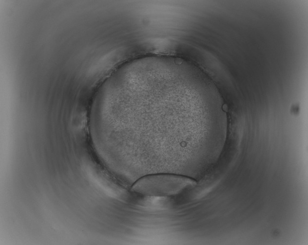 X0000113860748200910151236