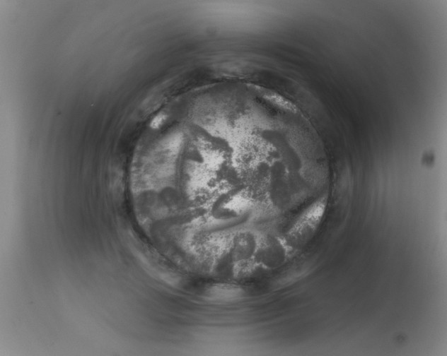 X0000113860749200910151236