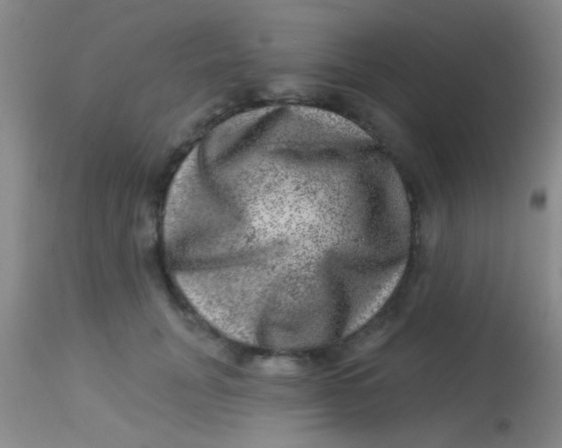 X0000113860751200910151236