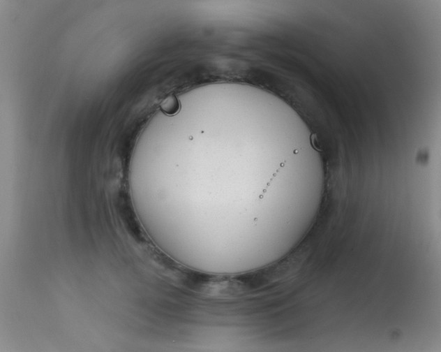 X0000113860752200910151236