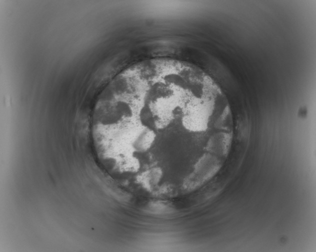 X0000113860753200910151236