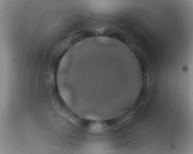 X0000113860754200910151236