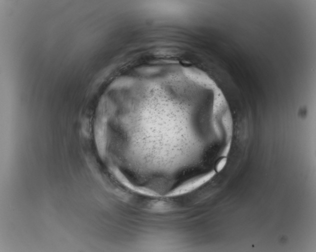 X0000113860755200910151236