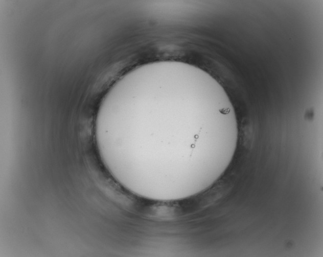 X0000113860756200910151236