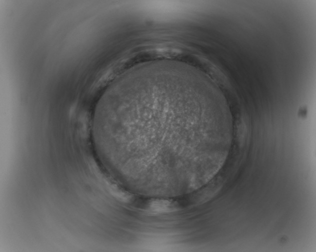 X0000113860757200910151236