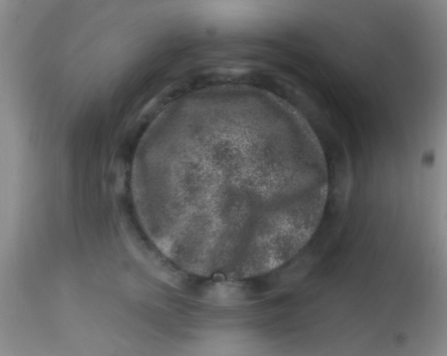 X0000113860758200910151236