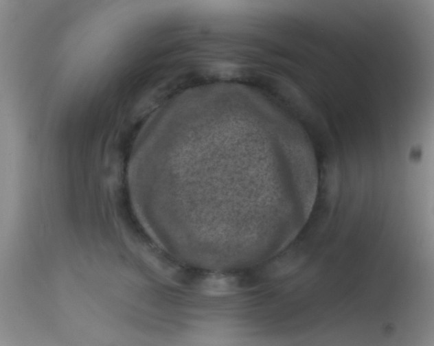 X0000113860760200910151236