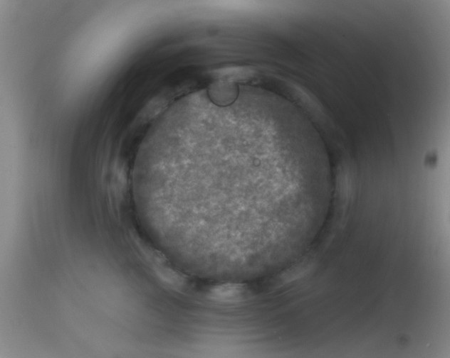 X0000113860761200910151236