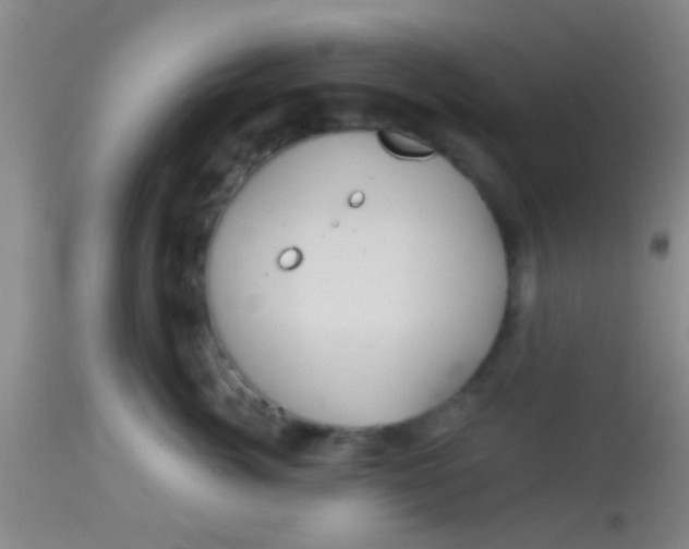 X0000113860764200910151236