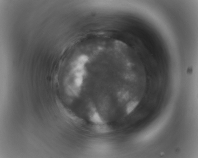 X0000113860767200910151236