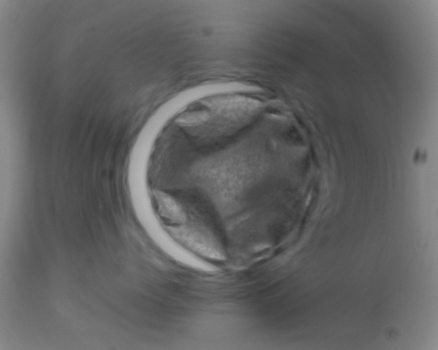 X0000113860768200910151236