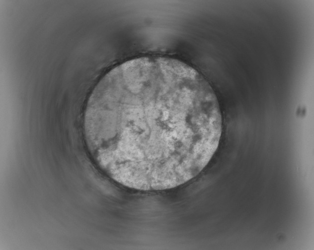 X0000113860769200910151235