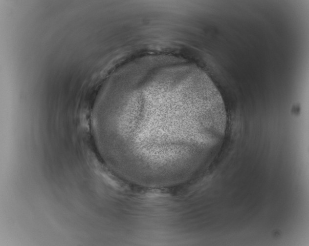 X0000113860770200910151235