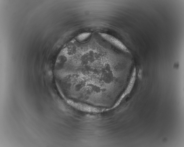 X0000113860771200910151235