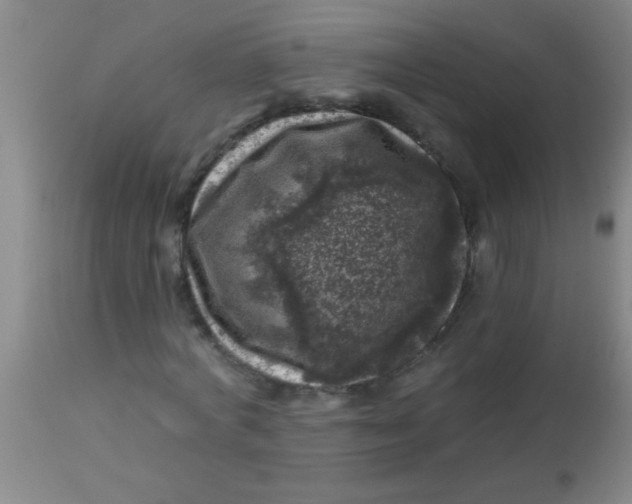 X0000113860772200910151235