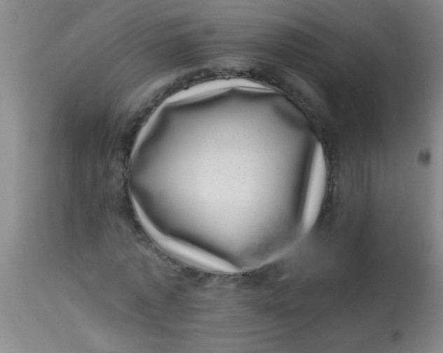 X0000113860773200910151235
