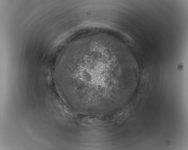 X0000113860774200910151235