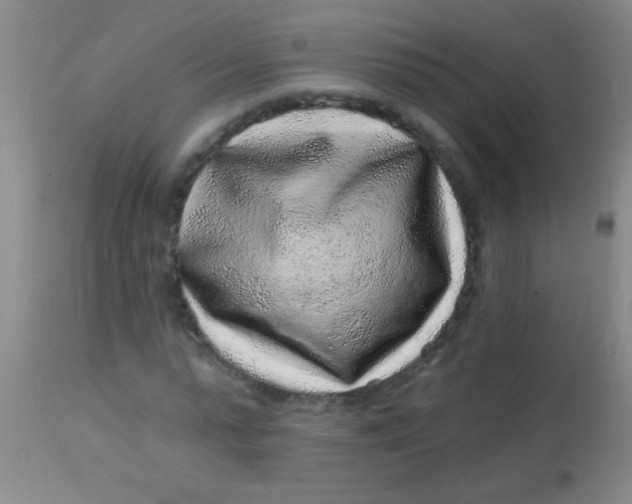 X0000113860775200910151235