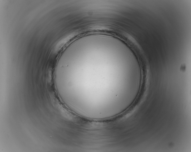 X0000113860777200910151235