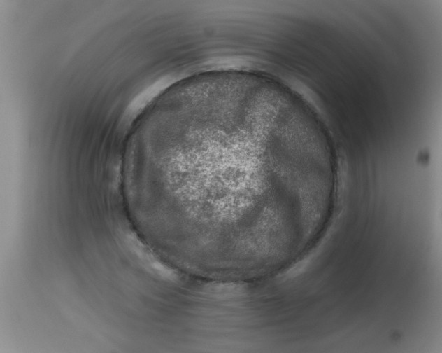 X0000113860778200910151235