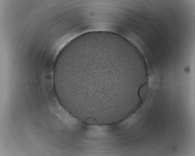 X0000113860781200910151235