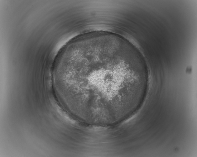 X0000113860782200910151235
