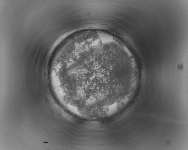 X0000113860784200910151235
