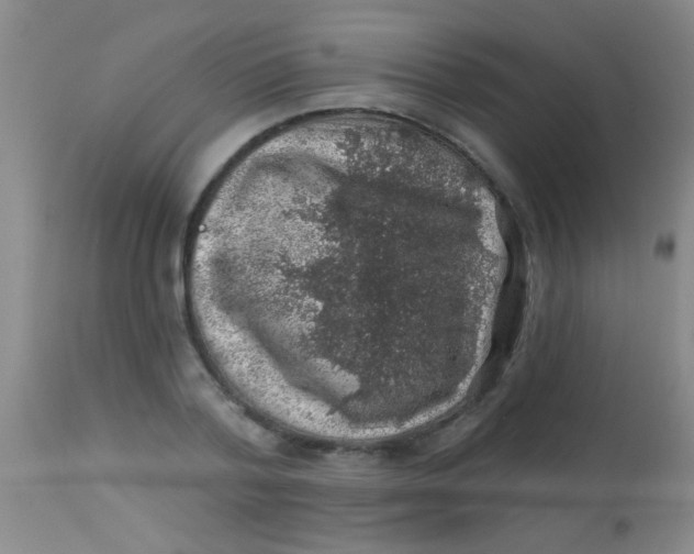 X0000113860788200910151235