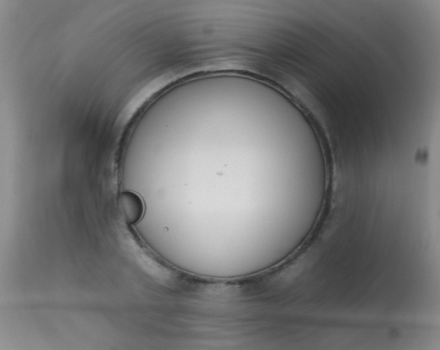 X0000113860789200910151235