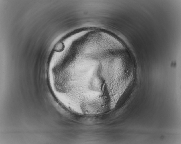X0000113860791200910151235