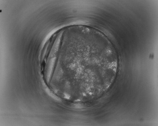 X0000113860792200910151235
