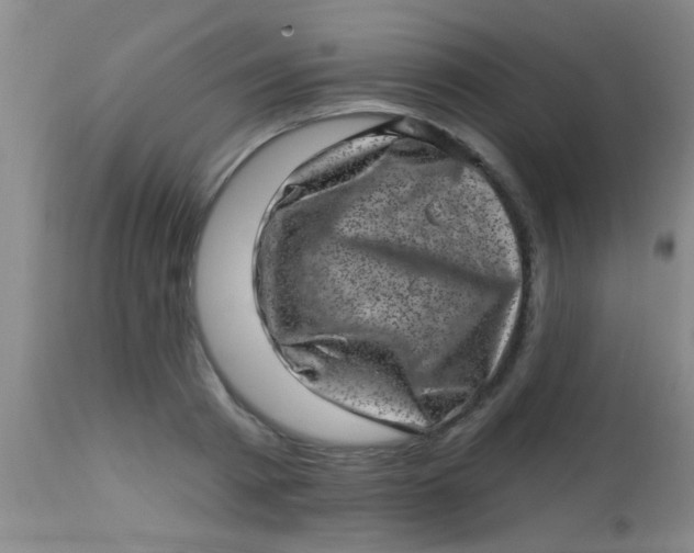 X0000113860793200910151235