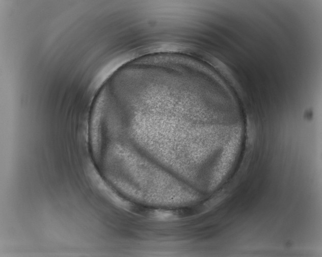 X0000113860794200910151235