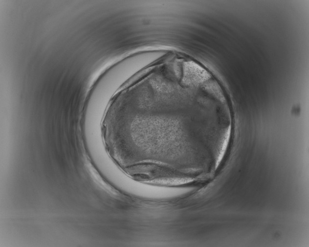 X0000113860797200910151235