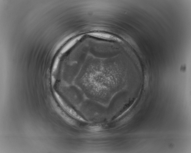 X0000113860798200910151235
