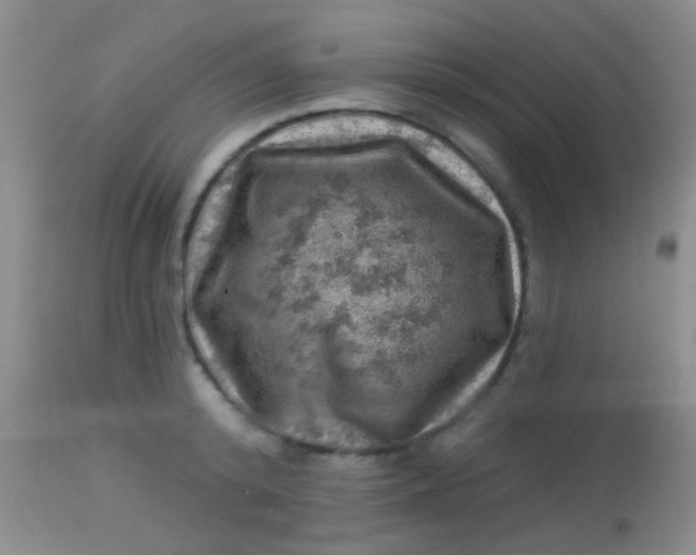 X0000113860800200910151235