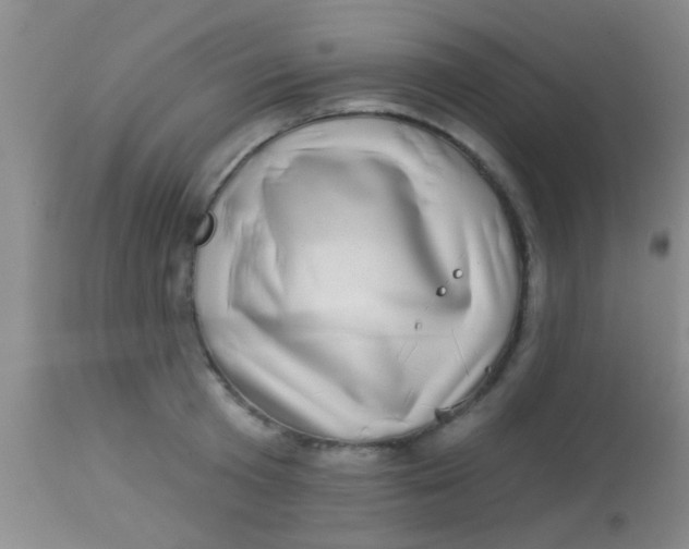 X0000113860801200910151235