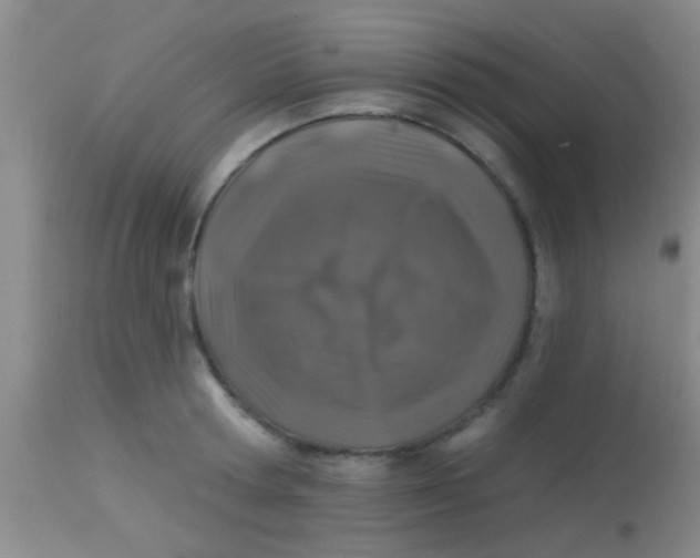 X0000113860802200910151235