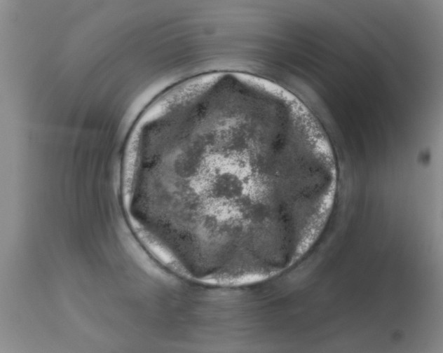 X0000113860804200910151235