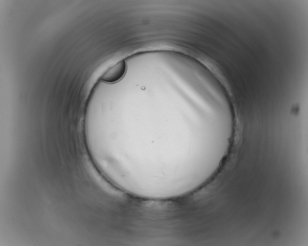 X0000113860805200910151235
