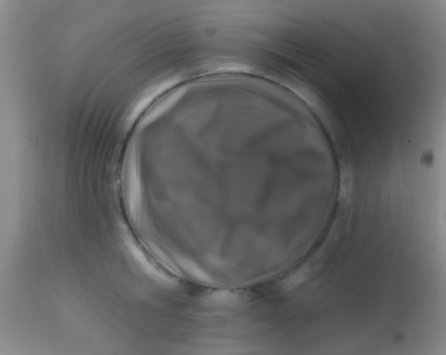 X0000113860806200910151235