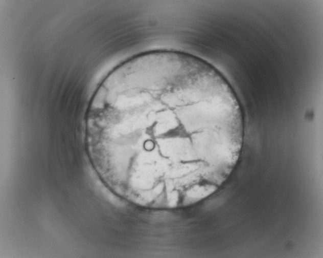 X0000113860807200910151235