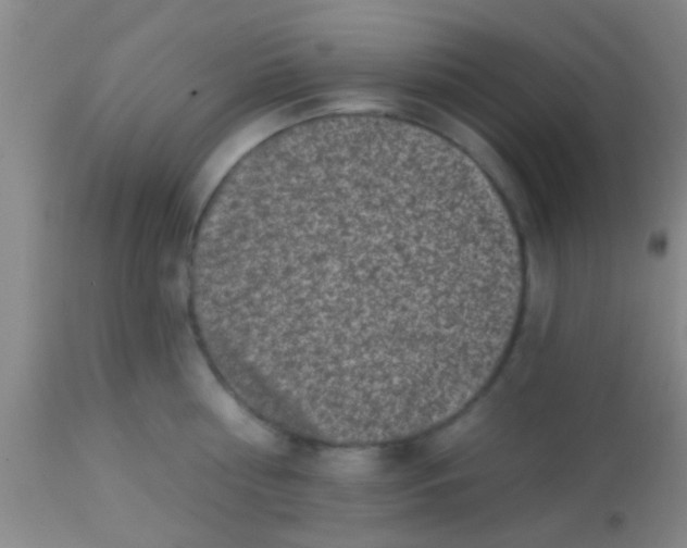 X0000113860810200910151235