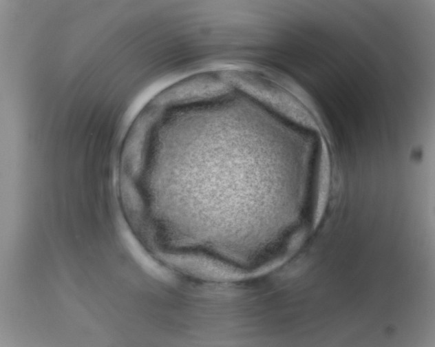 X0000113860811200910151235