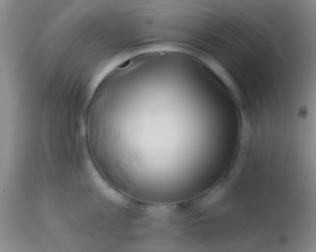 X0000113860813200910151235